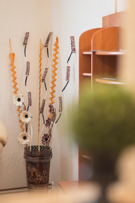 Apartmant & Room Bruna Drežnik Grad Eksteriør billede